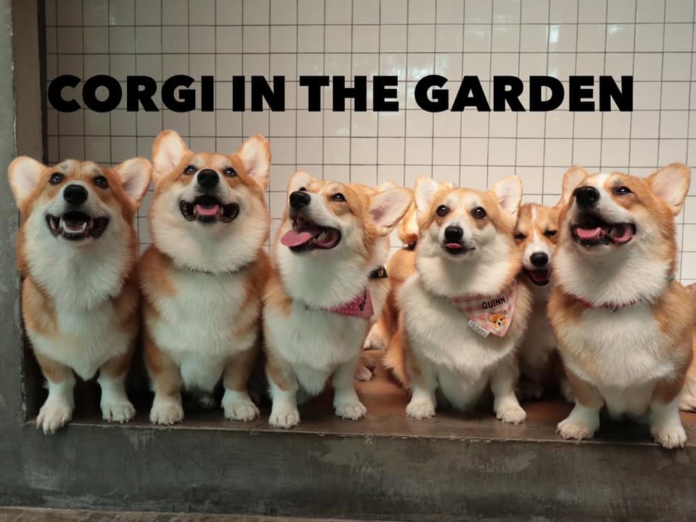 Tempat Wisata di Bangkok