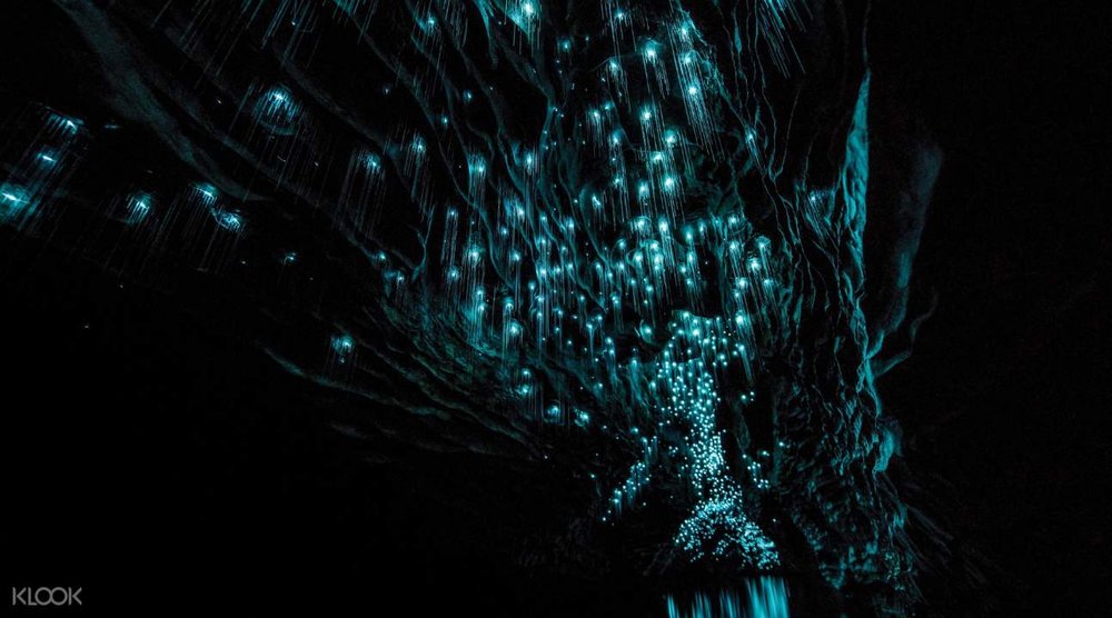 Glow Worm Caves, New Zealand