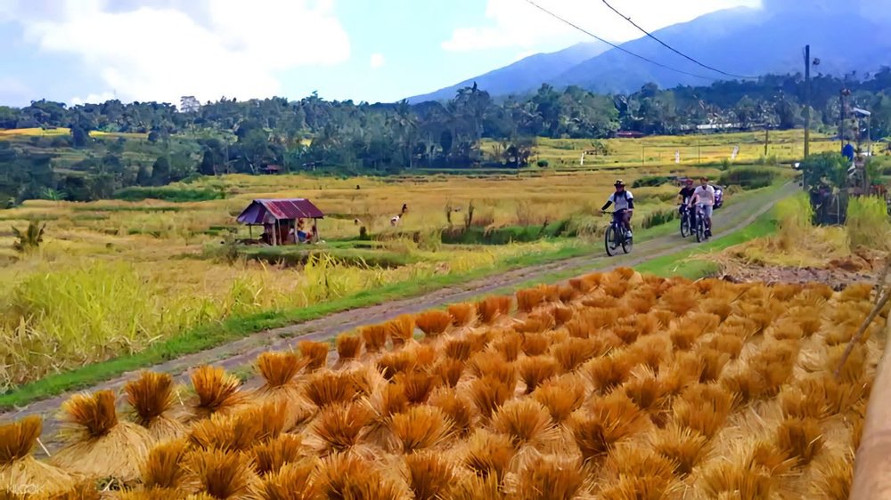 Tempat Wisata di Bali - Ide Liburan Mainstream 