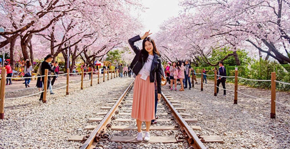 Yeojwacheon Stream gyeonghwa station south korea sakura rail track trees park