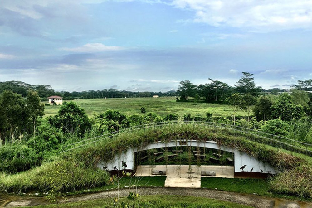 singapore nature park 12