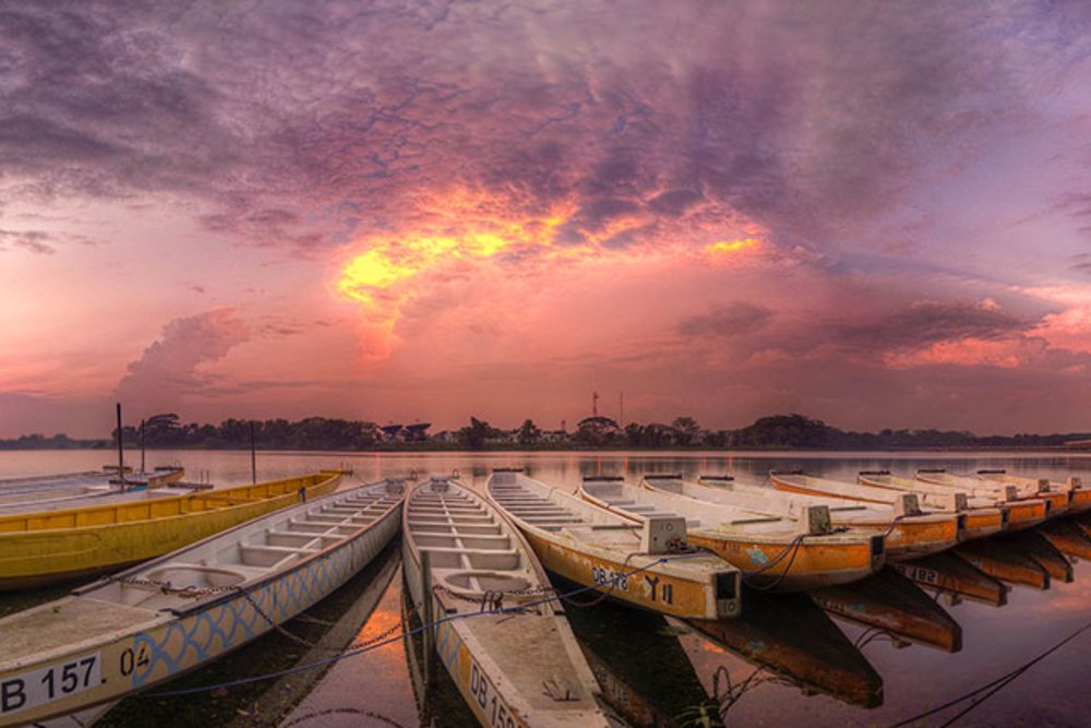 singapore nature park 5