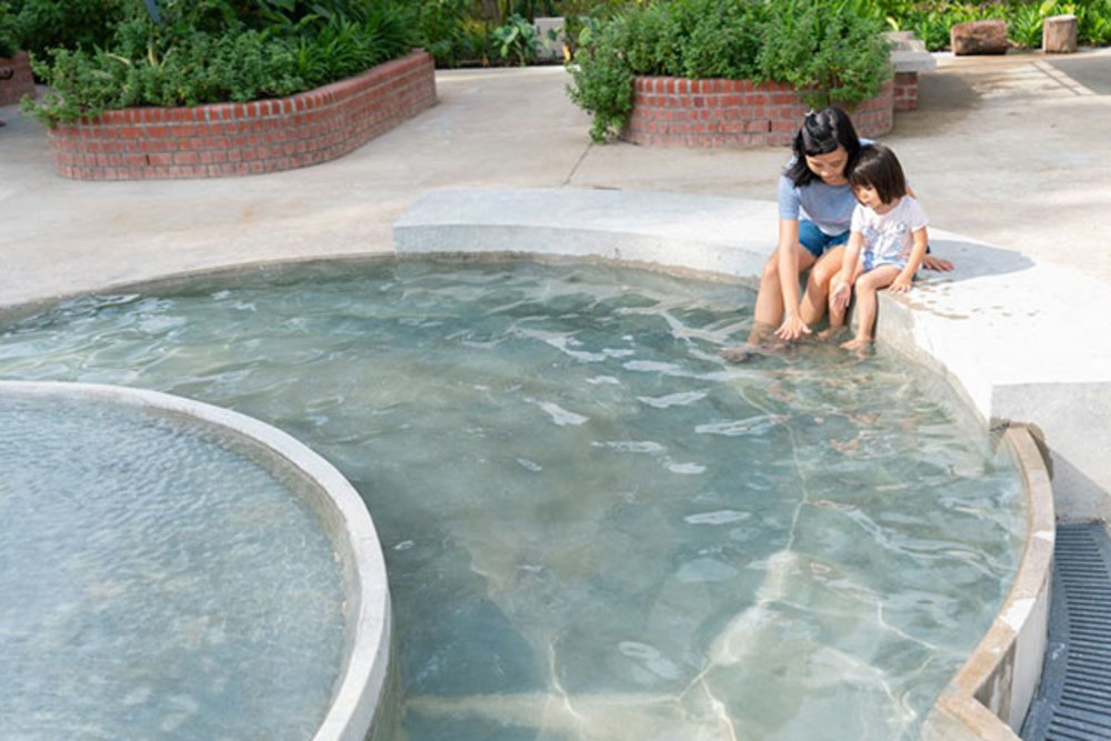 singapore nature park 4