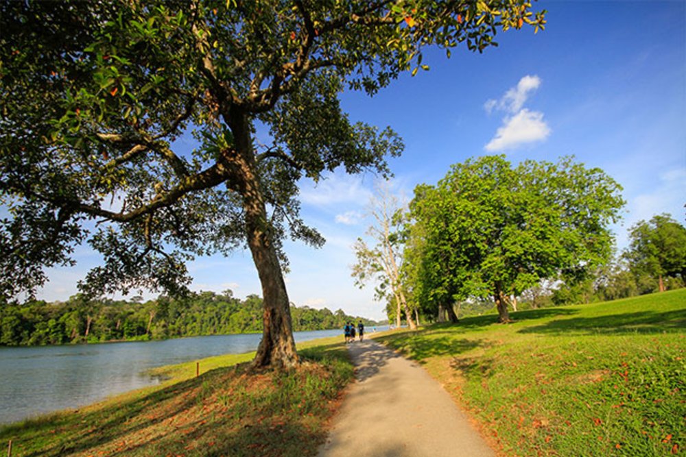 singapore nature park 2