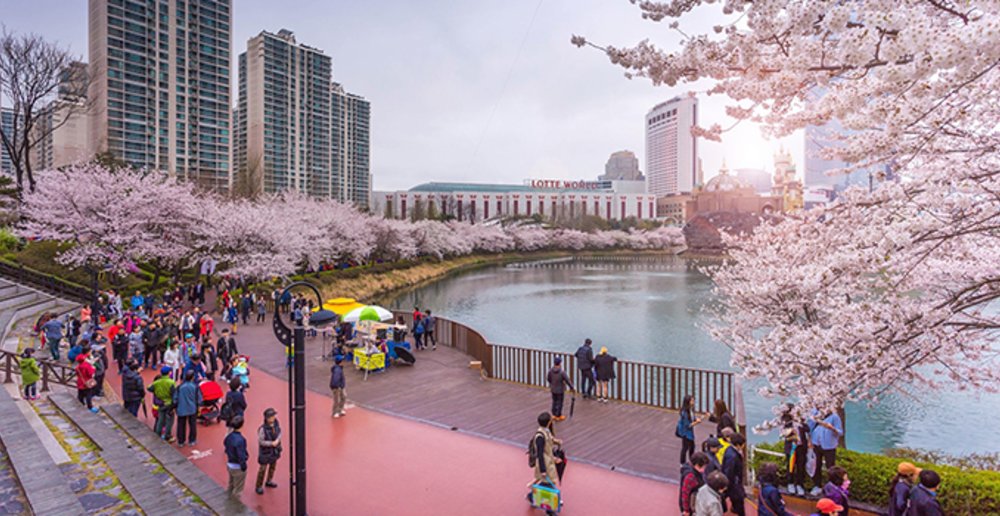 Seokchon Lake Festival 2020