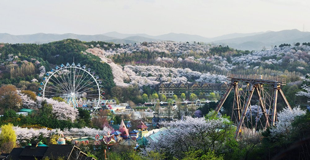 places to visit autumn korea fall things to do romantic couple