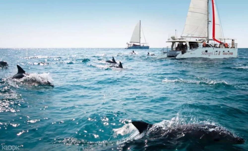 dia-diem-du-lich-jeju