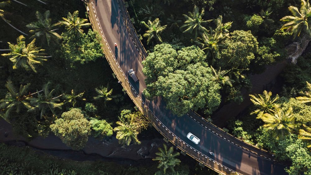 bali getting around car road trees transfer airport