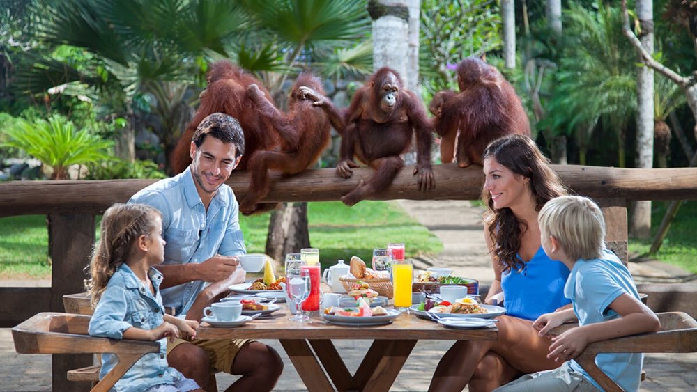 orangutan breakfast family kids friendly indonesia