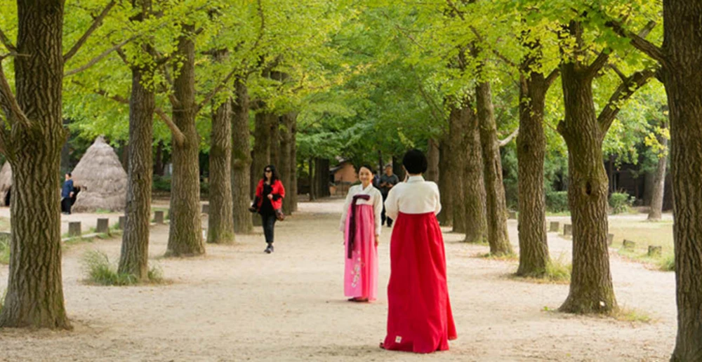 park trees photo spot hanbok ladies