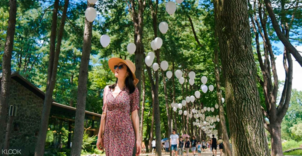 nami island petit france korea