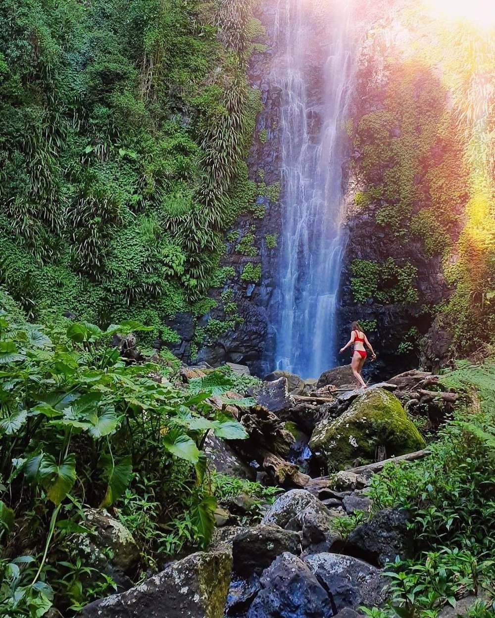 Lamington National Park Queensland Australia