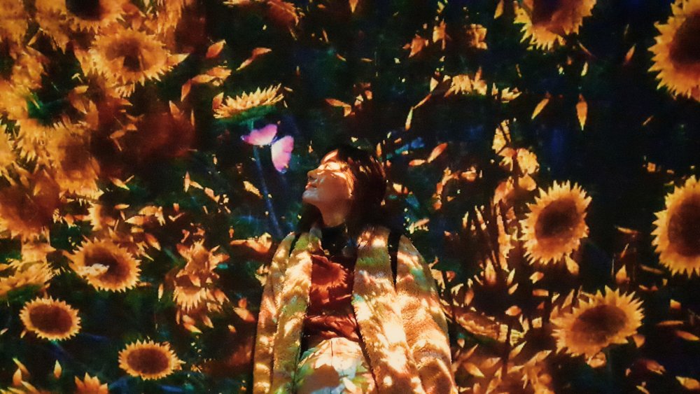 teamlab-borderless-teamlab-planets-tokyo