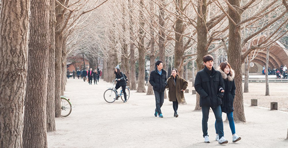 Nami Island Reasons to See Each Season Klook Travel Blog