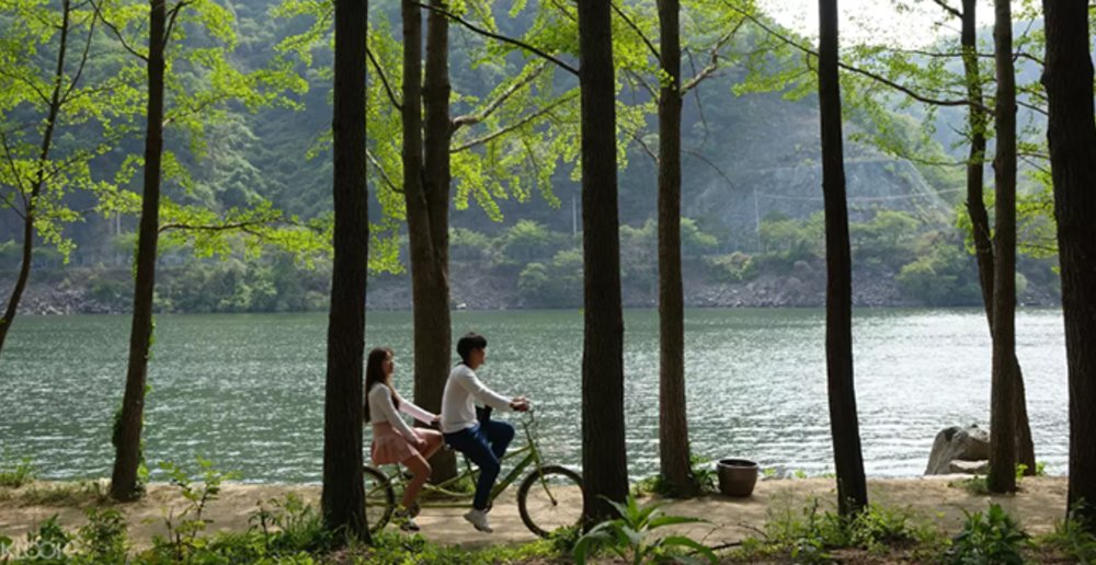 summer warm cycle greenery outdoor activities