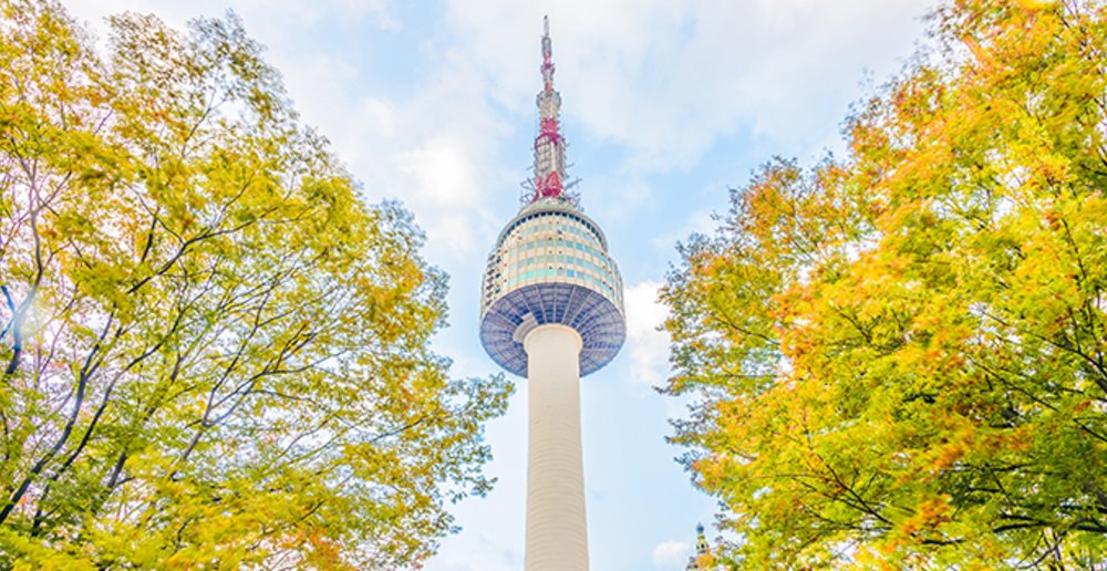 view tower n seoul namsan park