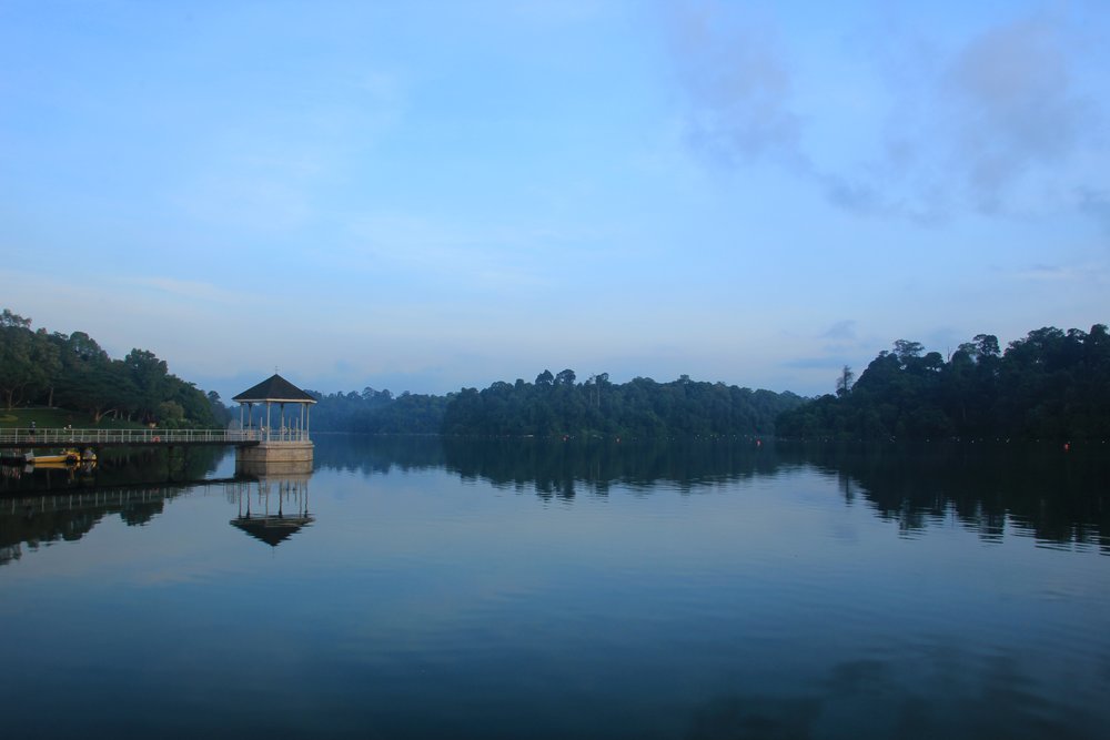 macritchie reservoir