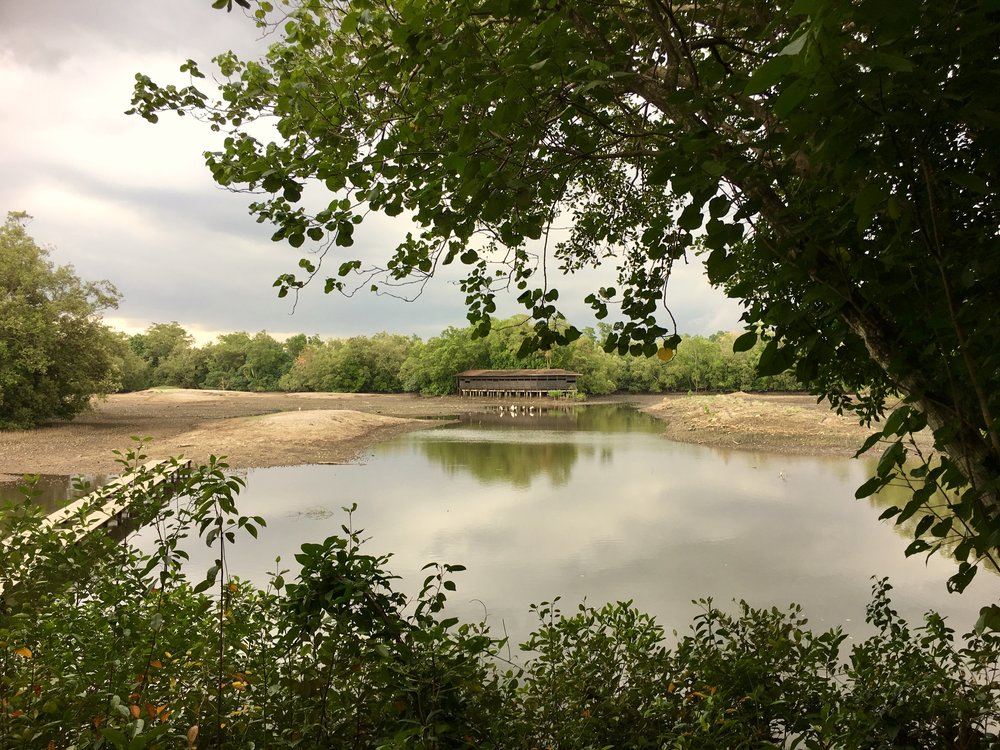 Sungei Buloh Wetland Reserve
