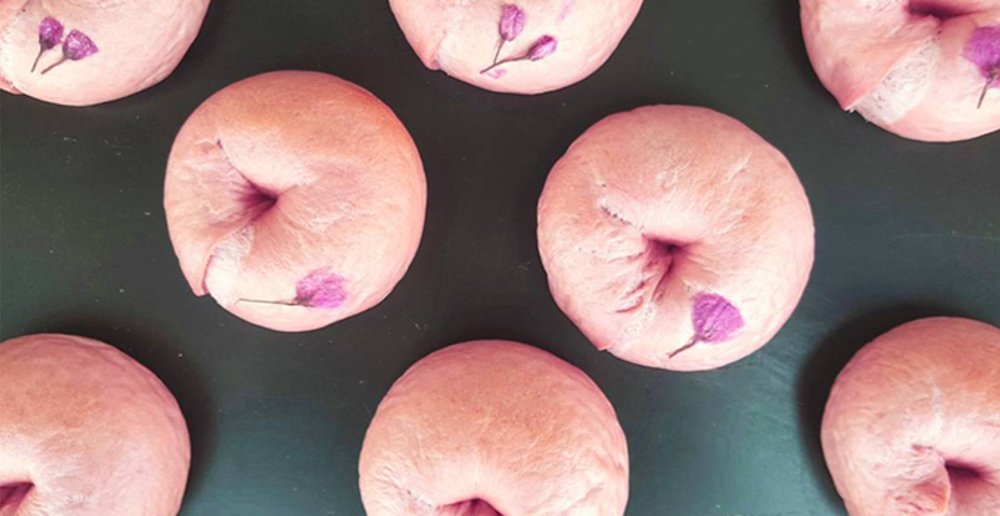 hoop hoop bagels bakery cherry blossom korea pink 