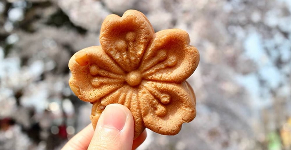 sakura cake korea festival market cherry blossom extract flavour 2020