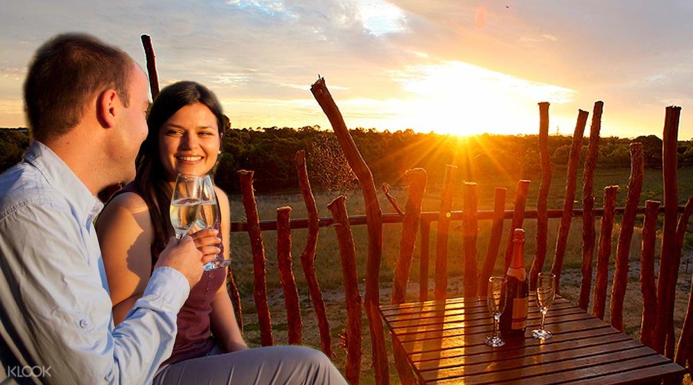 melbourne zoo drinks wine date slumber safari