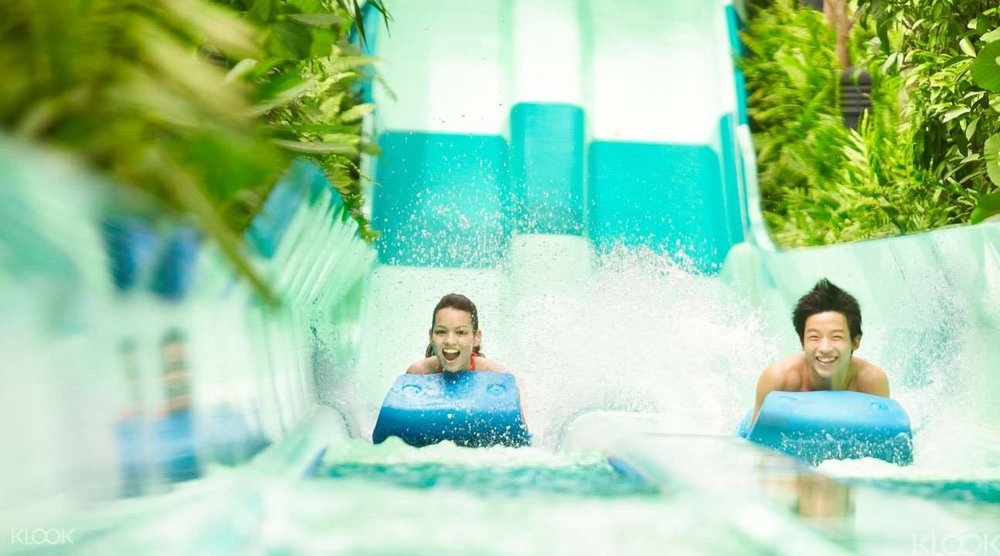 sea aquarium adventure cove water slide singapore things to do