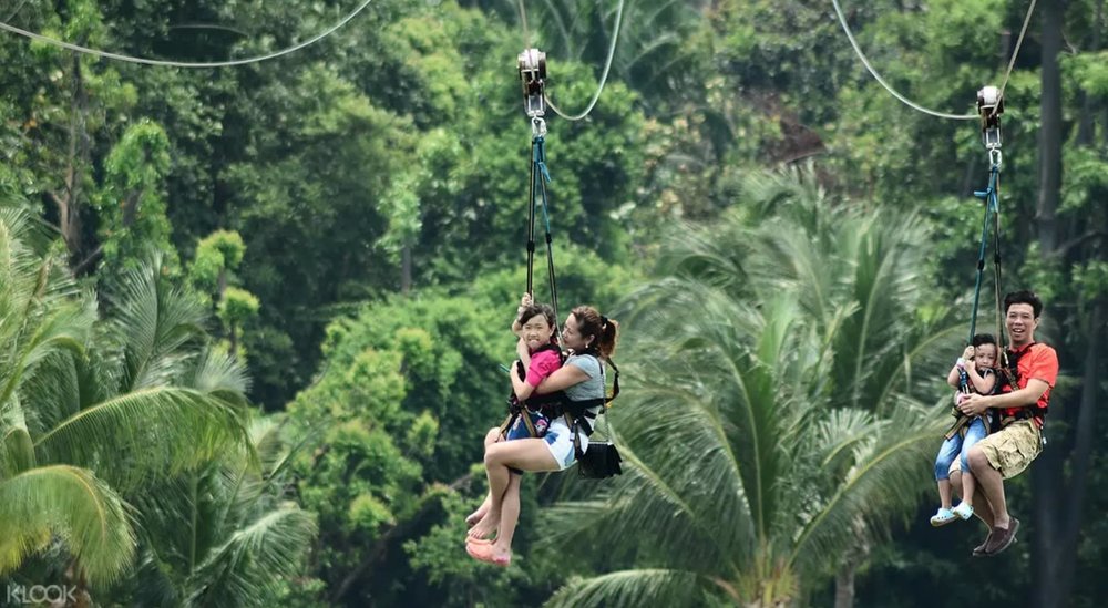 family friendly activities singapore 12 24 48 mega adventure zip line sentosa