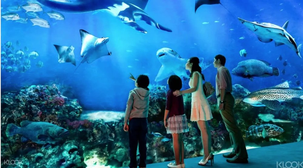 largest aquarium marine life sharks family friendly 12 24 48 dolphins fish 