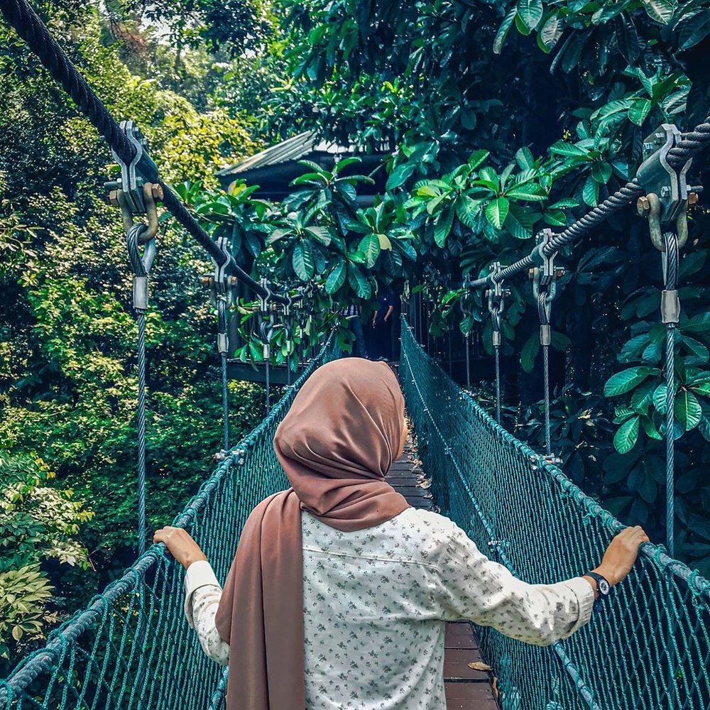 KL Forest Eco Park Hiking KL Malaysia