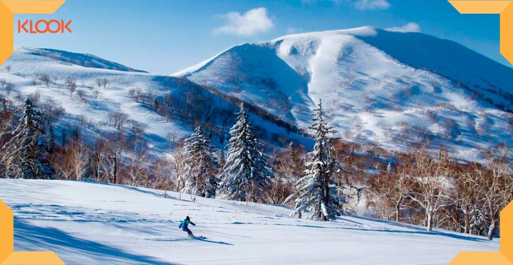 Zip down Akaigawa Village’s winter wonderland.