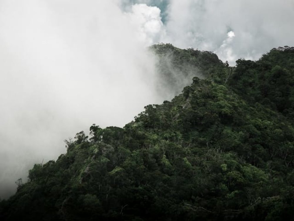 Waitakere Ranges auckland new zealand canyon