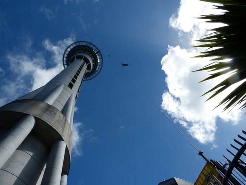 new zealand auckland tower sky walk sky jump freefall