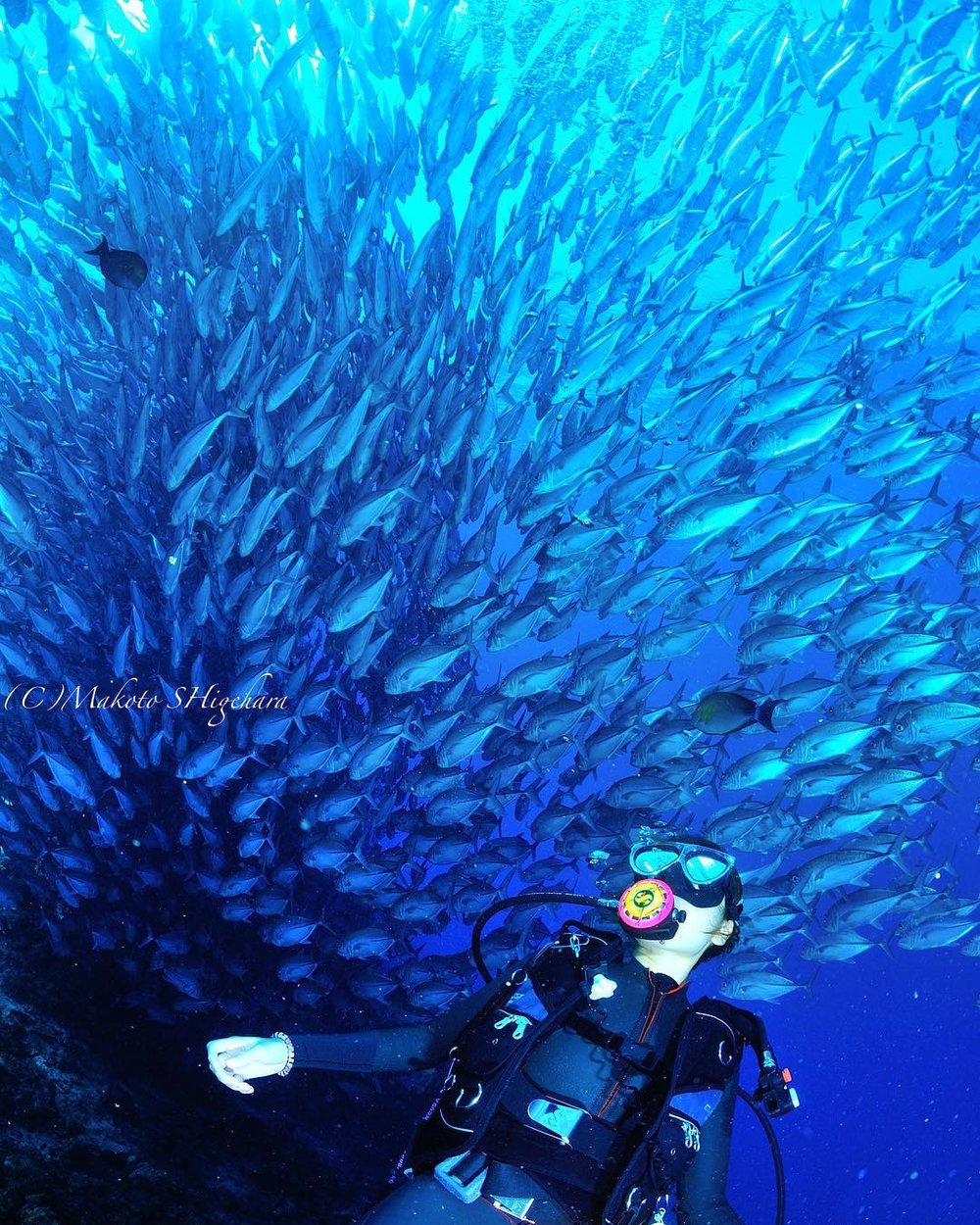 pulau sipadan