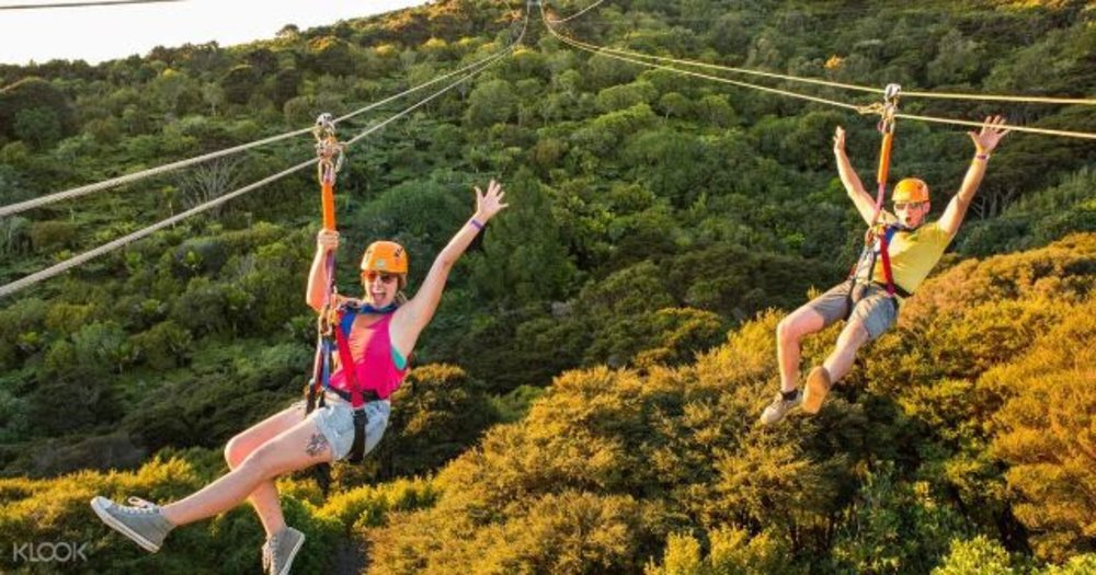 auckland new zealand adventure thrilling adrenaline zip line