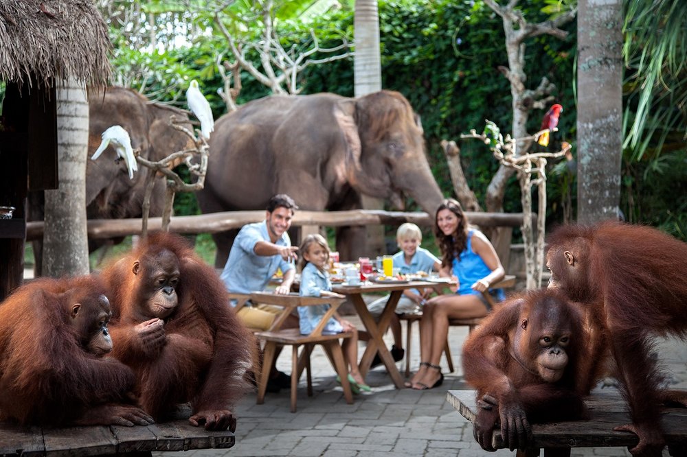 10 Best Family Friendly Restaurants In Bali - Klook Travel Blog