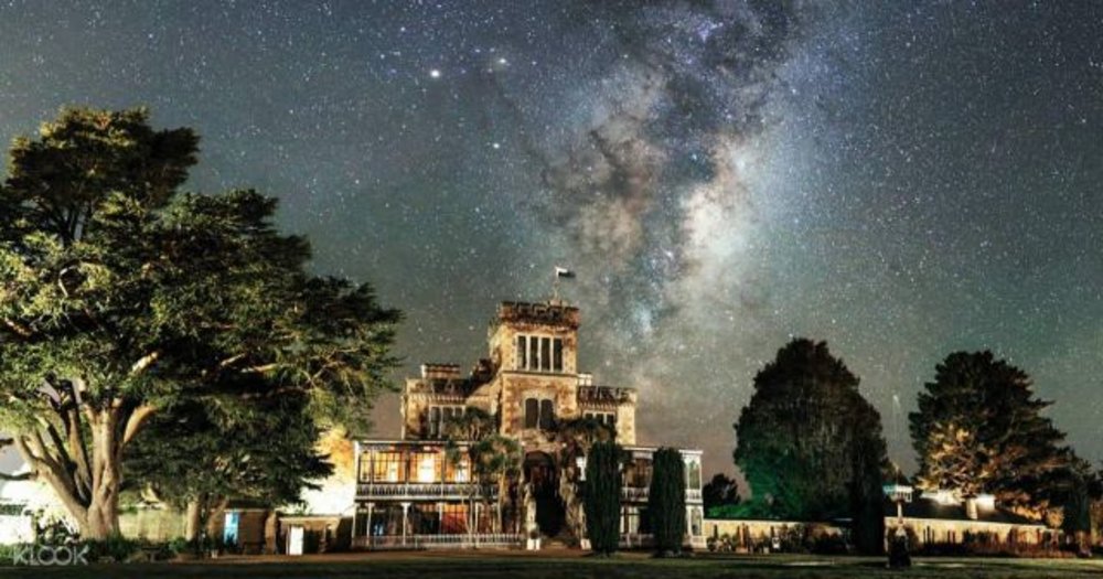 dunedin botanic gardens stars sky night 