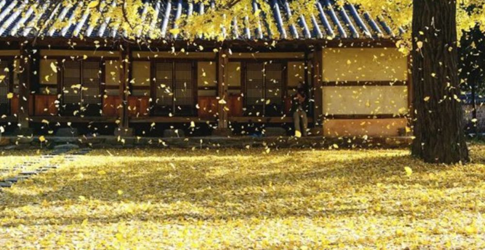 Jeonju Hanok Village