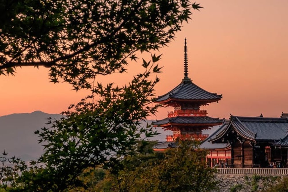 kyoto osaka shrine temple culture experience religion 