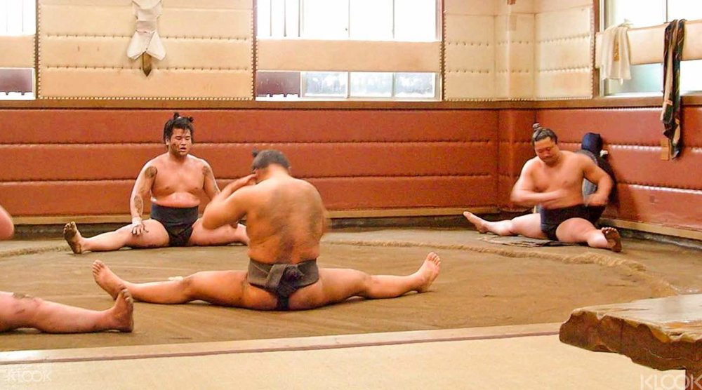 learn sumo experience wrestler wrestling practice sneak peek