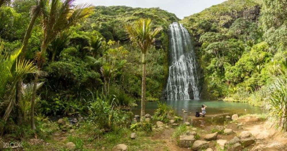 auckland waterfall new zealand 