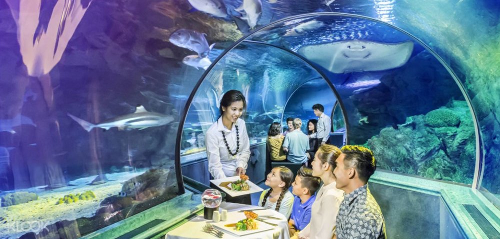 UnderWater World Guam Ocean Safari