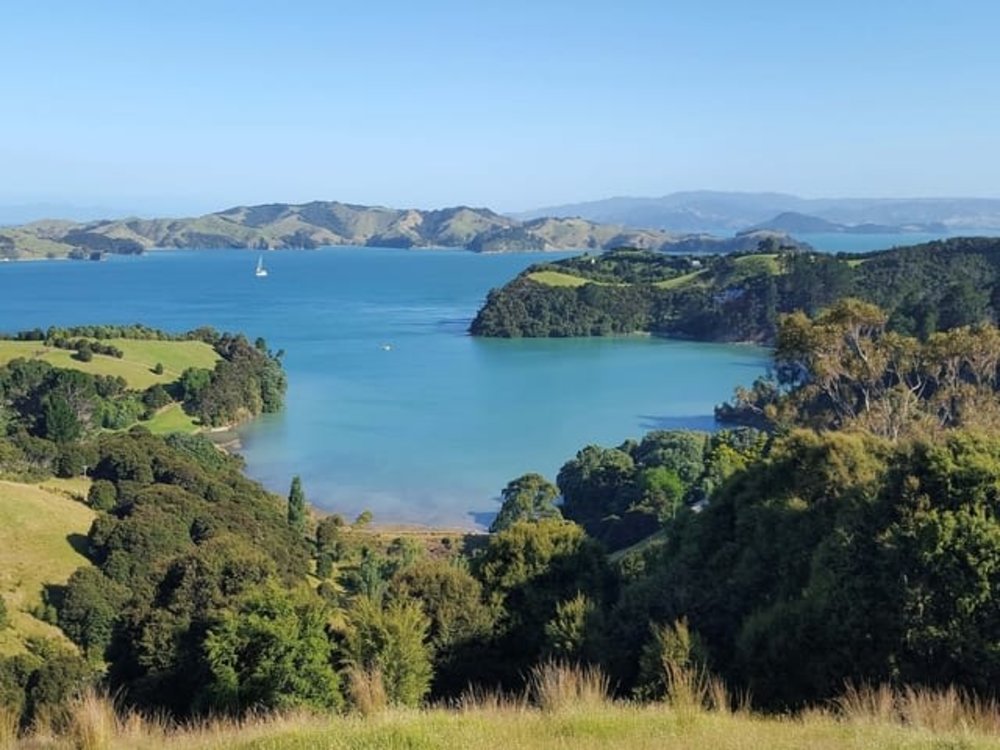 waiheke island vineyard lake sea water trees forest new zealand