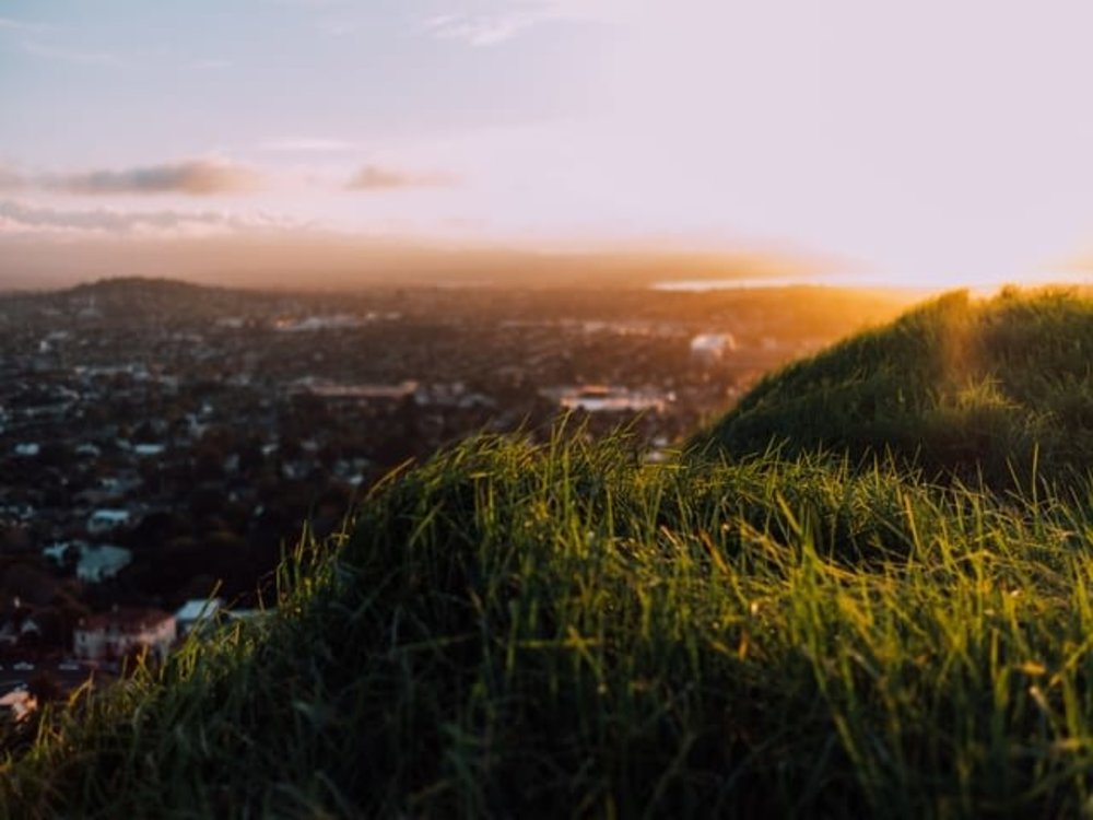 volcano new zealand mount eden auckland view grass city waitemata harbour