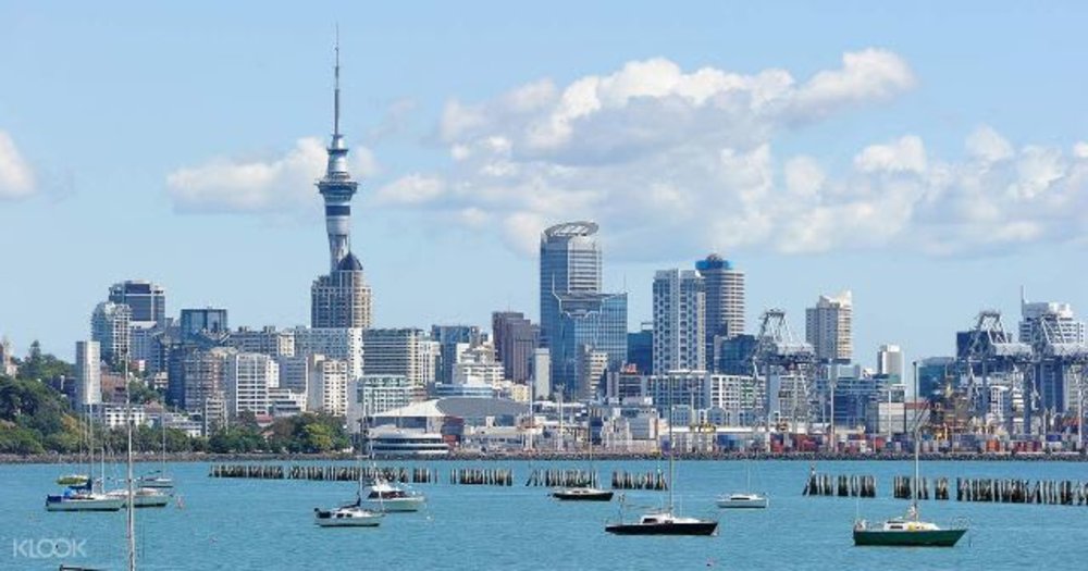 auckland skyline tower view cruise sea