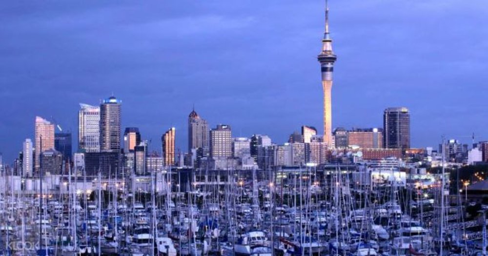 city skyline new zealand auckland tower buildings business district modern