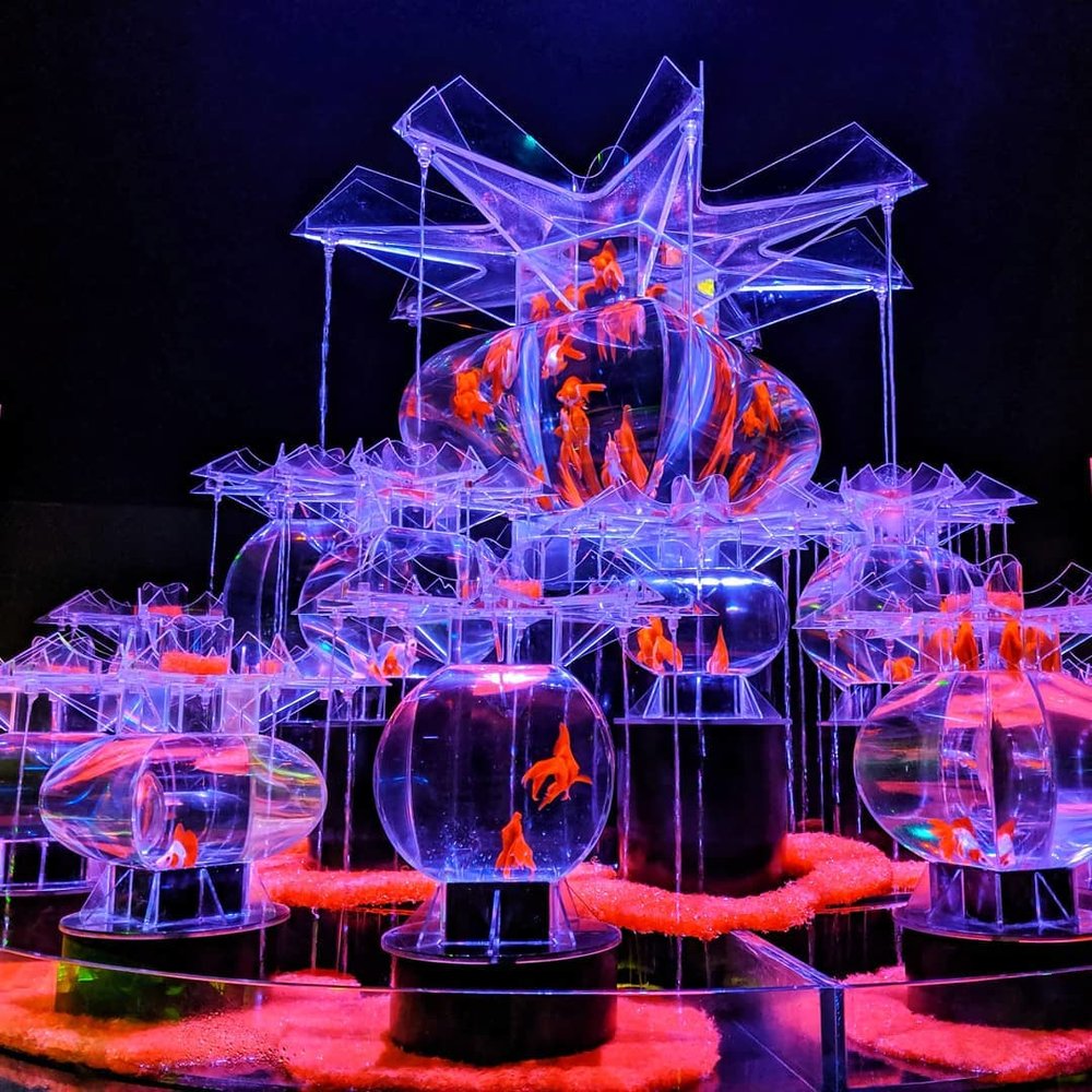 Tokyo Art Aquarium Nihonbashi August 2020
