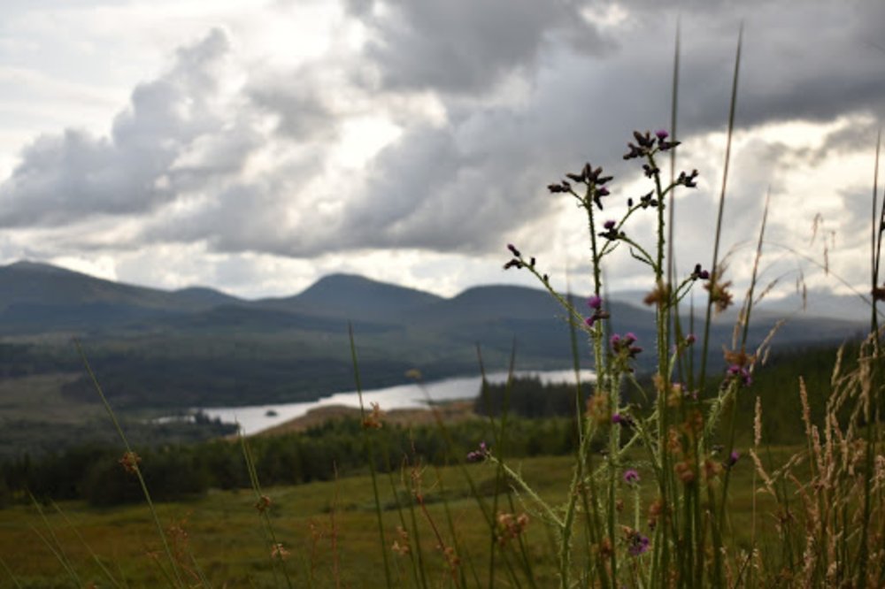 fort william ben nevis
