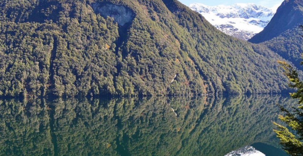 NZ Milford Sound