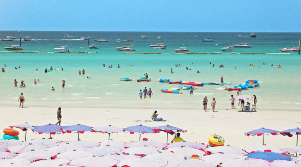 เกาะล้าน พัทยา