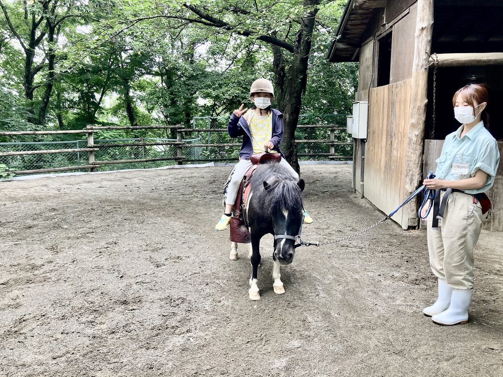 リトルファーム